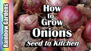 How to Grow Onions Seed to Kitchen Problems Harvest Curing Save Seed Start from Seed More [upl. by Ivel]