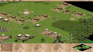 AOE2 Map Exploration Tactics00 [upl. by Levitt]