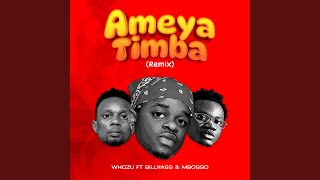 Ameyatimba Remix [upl. by Tita379]