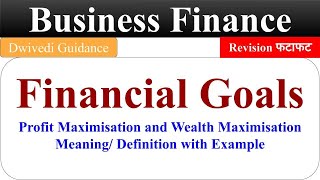 Financial Goals Business Finance bcom business finance in hindi objective of financial manager [upl. by Issy]