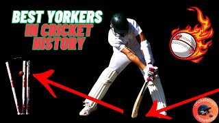 Best Yorkers in Cricket History  cricketelugu [upl. by Guenzi]