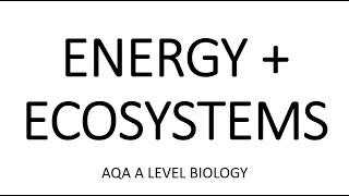 ENERGY amp ECOSYSTEMS  AQA A LEVEL BIOLOGY  EXAM QUESTIONS RUN THROUGH [upl. by Attenehs]