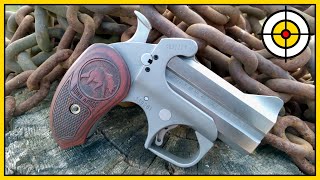 🐻Not Your Average Bear🐻 Bond Arms Grizzly 45 Colt amp 410 Derringer Range Review amp First Shots [upl. by Uamak902]