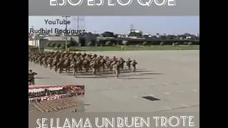 Así trotan los comando en Panamá [upl. by Seldun550]