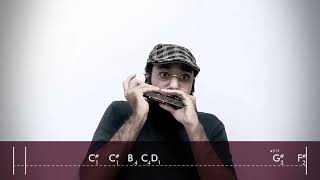 In a Sentimental Mood  John Coltrane  Harmonica cover by Saeed Ghasemi [upl. by Habeh]