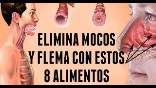 Elimina Mocos Y Flema Con Estos 8 Alimentos  Remedio Casero Para La Gripa [upl. by Etnemelc]