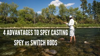 Spey vs Switch Rods and Spey Casting Advantages [upl. by Nap726]