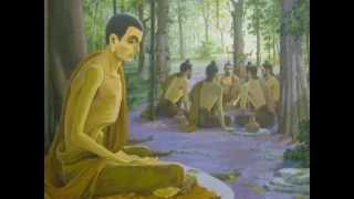 dhamma chakka pavattana sutta [upl. by Waylin]