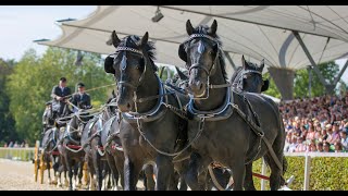 Hengstparade Moritzburg [upl. by Denn]