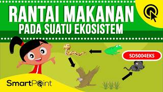 Rantai Makanan pada Ekosistem SmartPoint SD5004EKS [upl. by Felicle371]