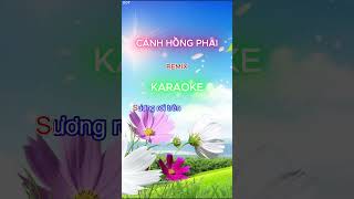 Cánh Hồng Phai Remix Dương Edward x VU KEM [upl. by Urial]