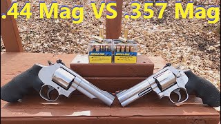 357 Mag VS 44 Mag  Buffalo Bore quotLower Recoilquot  Gel Test [upl. by Spratt]