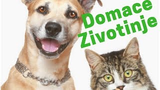 Zvuci domacih zivotinja [upl. by Rizan]