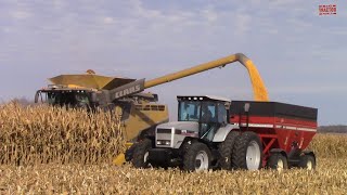 2021 WHEAT HARVEST  Big Combines [upl. by Kcered]