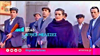 ΑΓΡΙΕΣ ΜΕΛΙΣΣΕΣ  ΕΠΕΙΣΟΔΙΟ 57 ΠΕΜΠΤΗ 1612020  TRAILER FULL HD [upl. by Nitreb]