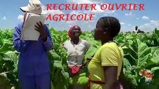 Comment recruter et gérer les ouvriers agricoles [upl. by Aicargatla]