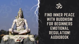 ✩°｡⋆⸜ 🎧✮ DISCOVER Emotional Regulation Secrets in Buddhism for Beginners AUDIOBOOK [upl. by Arimlede828]