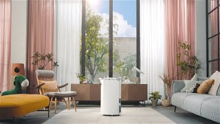 LG PuriCare™ Dehumidifier  LG [upl. by Nirik882]