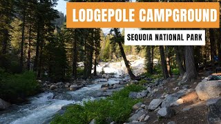 Lodgepole Campground  Sequoia National Park  Airstream Life [upl. by Sanalda]