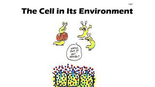 Physiology Chapter 4 part 1 of 3 [upl. by Bonar490]