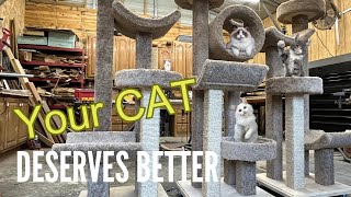 Top 5 Best Cat Trees We Tried Them All [upl. by Ailecnarf]