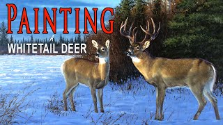 How I Created a Whitetail Deer Painting [upl. by Faucher819]