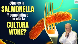 ✅ ¿QUE ES LA SALMONELLA Y PORQUE ES TAN IMPORTANTE AHORA POR LA CULTURA WOKE ✅ [upl. by Halley]