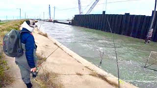 4 EASY BANK FISHING SPOTS in Galveston TX Maps amp Coordinates Provided Fish for FREE [upl. by Nomis]