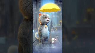 Magical umbrella  😳☂️ shorts cat [upl. by Finbar]