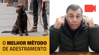 O Melhor Método de Adestramento Induzindo o cão à obediência [upl. by Ahsenik718]