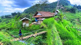 DIJAMIN BETAH😍 MENIKMATI HIDUP DI KAMPUNG YANG INDAH ALAM DESANYA SUASANANYA ADEM AYEM amp TENTRAM [upl. by Alusru770]