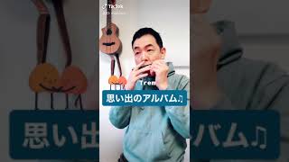 思い出のアルバム♫複音ハーモニカ独奏♪【今朝のハーモニカ♫】 [upl. by Yenreit]