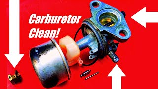 How to Fix a Lawn Mower by Cleaning the Carburetor Briggs amp Stratton and Tecumseh [upl. by Lledyl]