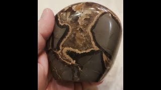 Freeform Septarian [upl. by Sucerdor803]