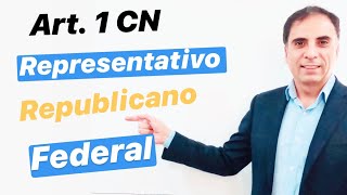 DECLARACIONES FORMAS DE GOBIERNO Art 1 Constitución Nacional Argentina Derecho Constitucional [upl. by Mcgean684]