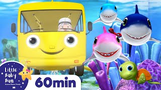 Wheels on The Bus Underwater  More Nursery Rhymes amp Kids Songs  ABCs and 123s  Little Baby Bum [upl. by Eiral]