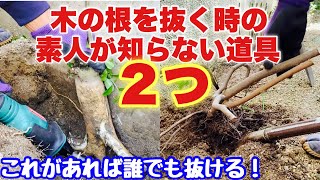 木の根っこを抜く【抜根、自力、人力】この２つがあれば誰でも抜ける！🌳😆✨ [upl. by Eittap]