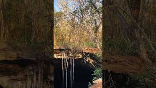 🔴CENOTE NOH MOZON TECOH YUCATAN MEXICO 🇲🇽 cenotes mexico travel viajes yucatán [upl. by Leasia]