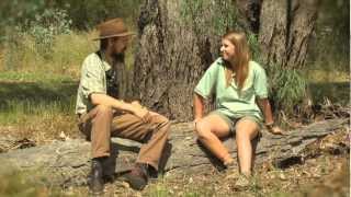 Bush stonecurlews  with Dr Dave [upl. by Absalom]