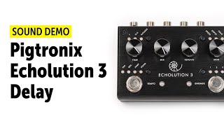 Pigtronix Echolution 3  Sound Demo no talking [upl. by Fein]