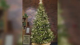 Decadesold Jonesborough Christmas tradition continues to brighten Tennessees oldest town [upl. by Nooj468]