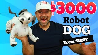 Sony Aibo a 3000 Robot Dog Comprehensive Review [upl. by Mercado979]