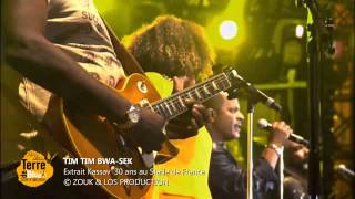 Tim Tim BwaSek  Kassav au Stade France [upl. by Nnylyam]