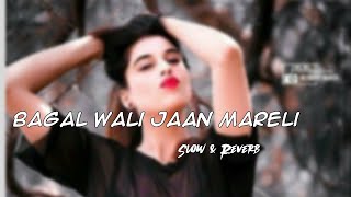 BAGAL WALI JAAN MARELI  SLOWEDREVERB  slowedandreverb bhojpurisong bhojpurilofi [upl. by Radie516]