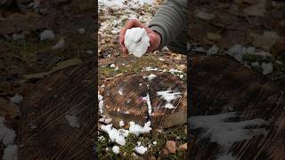 Survival Skills A Burner That Defies Snow and Wind survival camping lifehacks [upl. by Sonitnatsok]