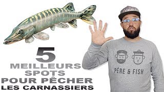 DÉBUTANT 2 PÊCHE 2  Les 5 MEILLEURS SPOTS pour PÊCHER les CARNASSIERS brochet perche sandre [upl. by Par]