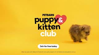 Join Petbarns Puppy amp Kitten Club [upl. by Ynaffit657]