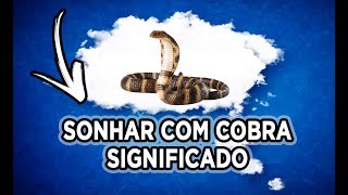 SONHAR COM COBRAS  Qual o Significado de Sonhar com Cobras Confira Aqui Eu Te Responderei ☑️ [upl. by Cyrillus606]