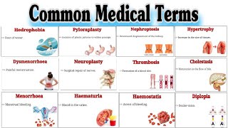 Common Medical Terms  Medical Terminology  Parts2 [upl. by Mitch]