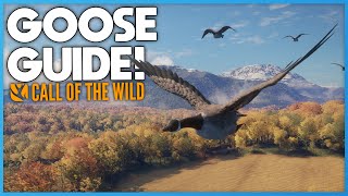 Goose Hunting Guide  Call Of The Wild Tips amp Locations [upl. by Varhol]